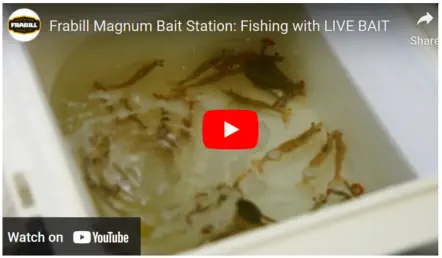 Bait Management Video