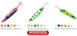 Bass Fishing Lures for Lake Berryessa