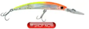 Bass Fishing Lures for Lake Havasu