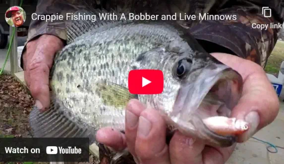 Crappie Fishing Bobber