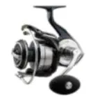 Daiwa Certate Saltwater Fishing Reel