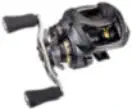 Daiwa Steez Baitcast Reel