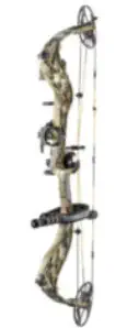 Diamond Bowtech Compound Bow
