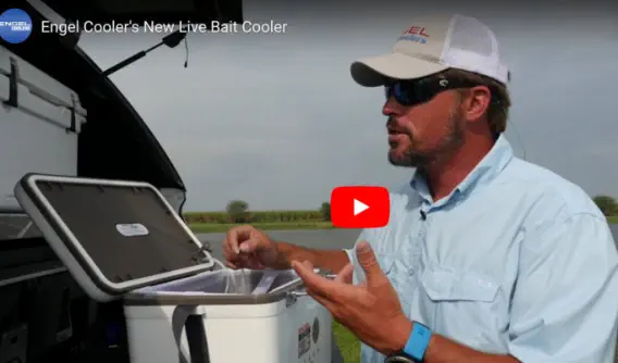 Engel Live Bait Cooler
