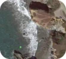 Gleason Beach in Bodega Bay