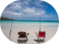 Surf and Rock Fishing