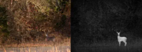 Thermal Game Scouting