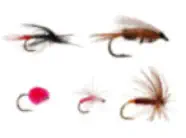 Wet Flies